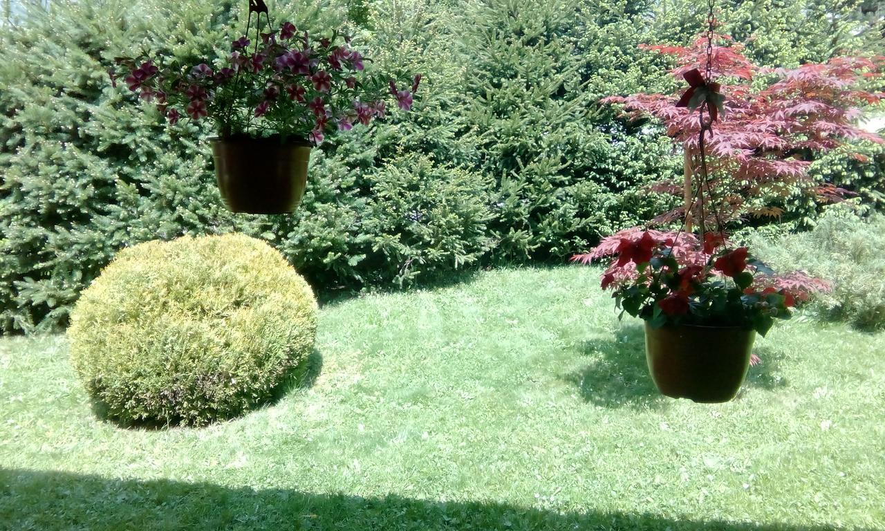Apartmani Nais Zlatibor Luaran gambar